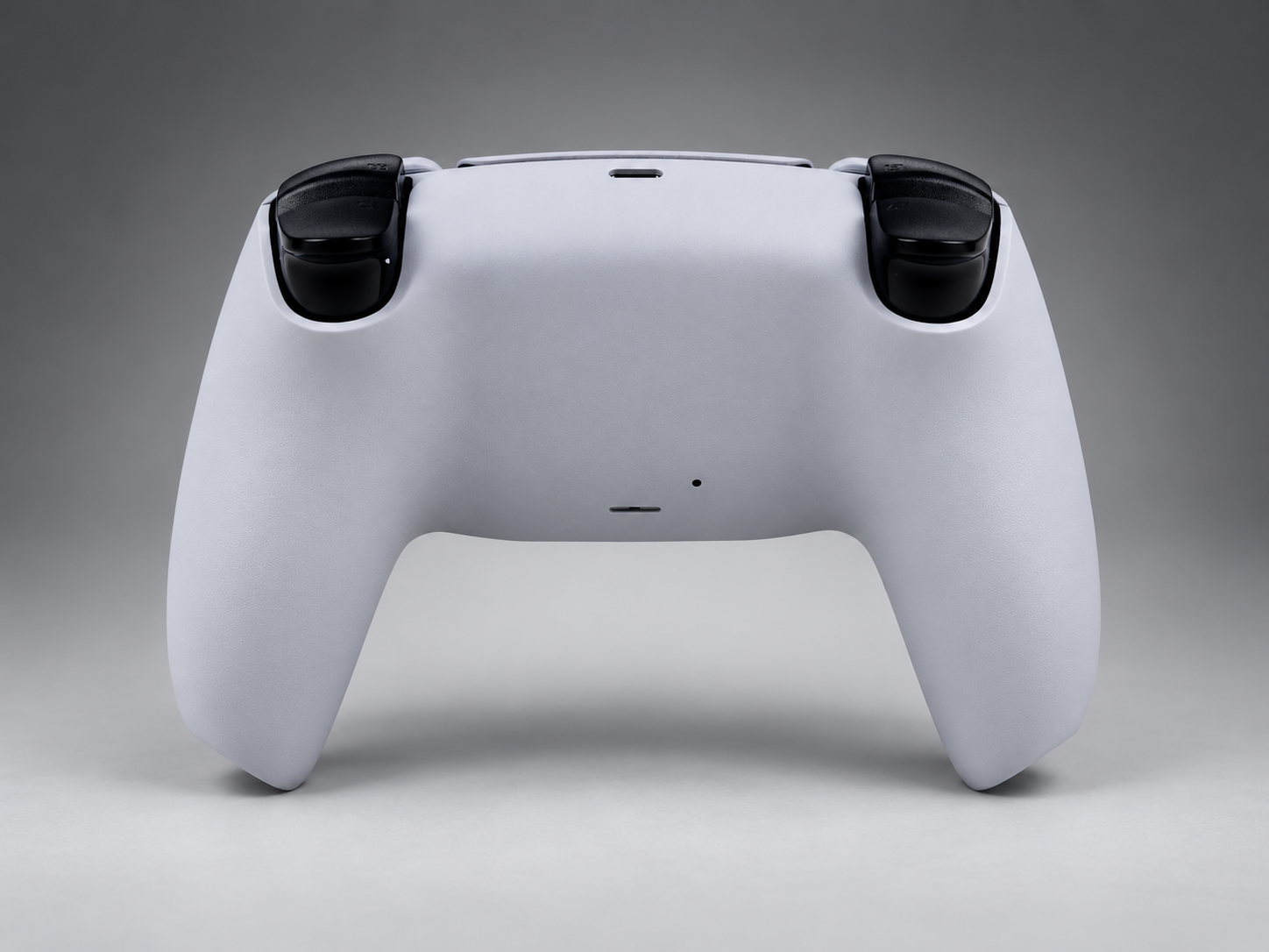 Shinobu Kocho custom controller, back view