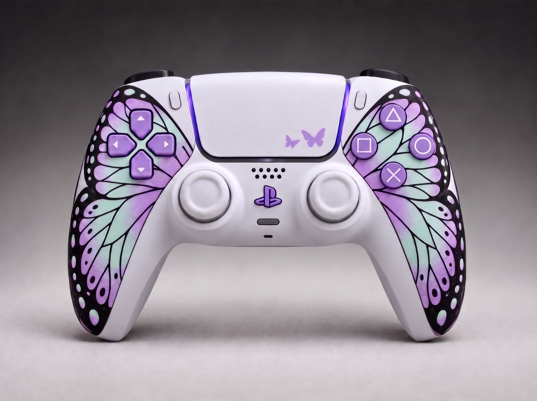 Shinobu Kocho custom controller, front view