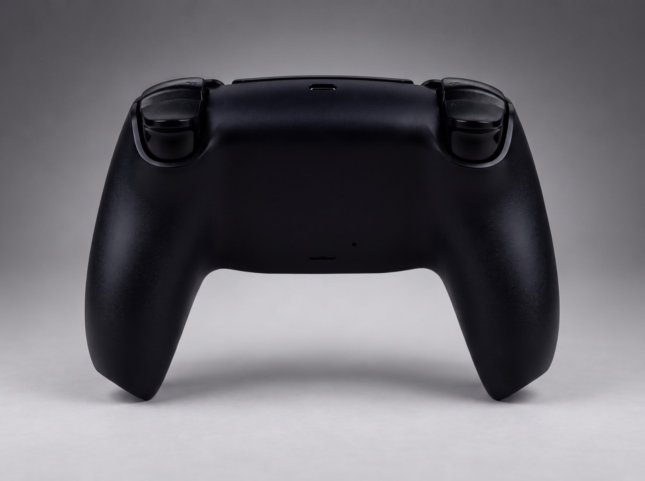 Tanjiro Kamado custom controller, back view